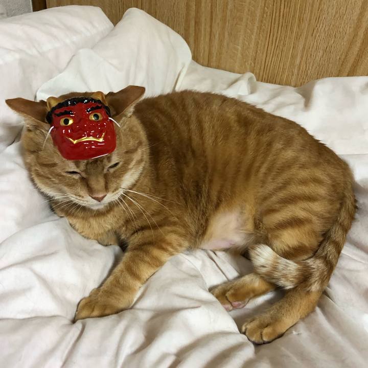 B5ac2350 7598 42d2 8e7b 1b9a7e8acfe4 1612262512190