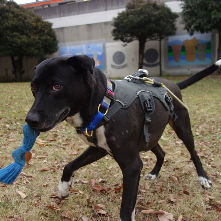 B5ac482d ac7d 4490 9c05 1831397a58ea 1639096485219