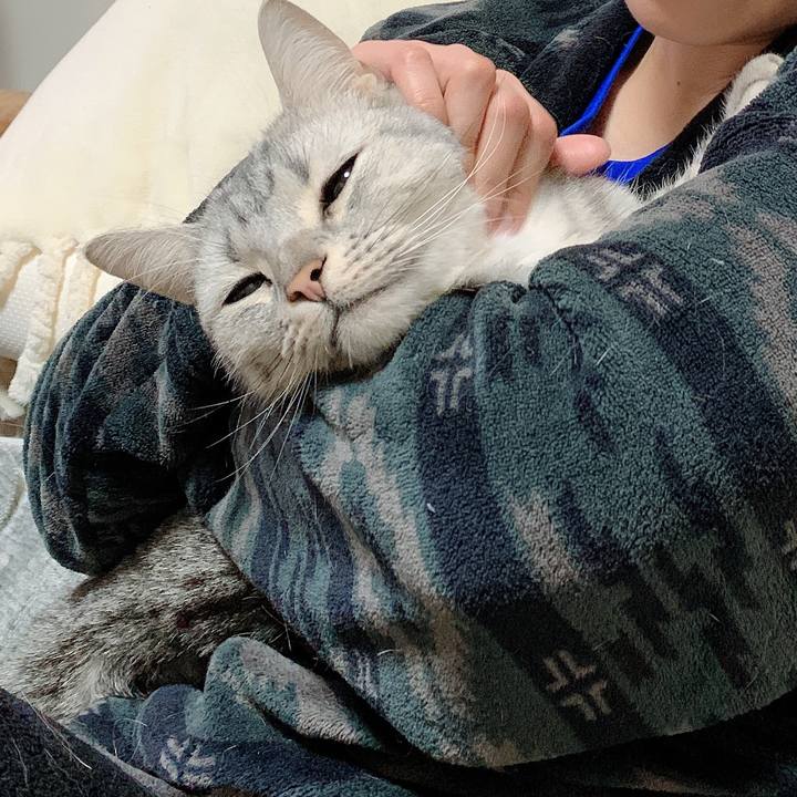 B5ac5d3c d9ec 4e72 b4df 58ea42040615 1578271708503