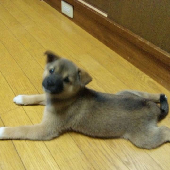 B5ac5f8f 9944 4861 bbfc 083e107dc0f5 1657368931233