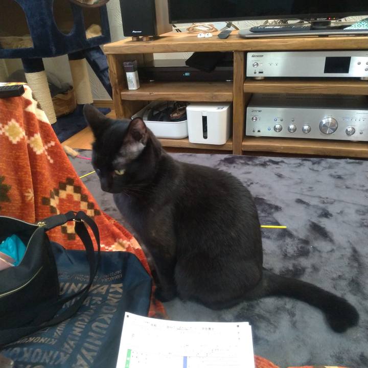 B5ac6cf8 bf2a 41f4 b535 3b8908ff9213 1582074138167