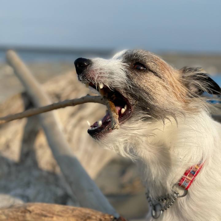 B5ac91e5 66da 4b65 8b98 e7a691db17c9 1613952209341