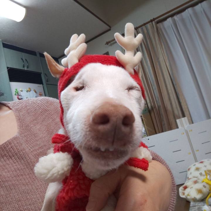 B5ac96fc b4e2 4ecc 9386 c39b8da36ca7 1608898958028