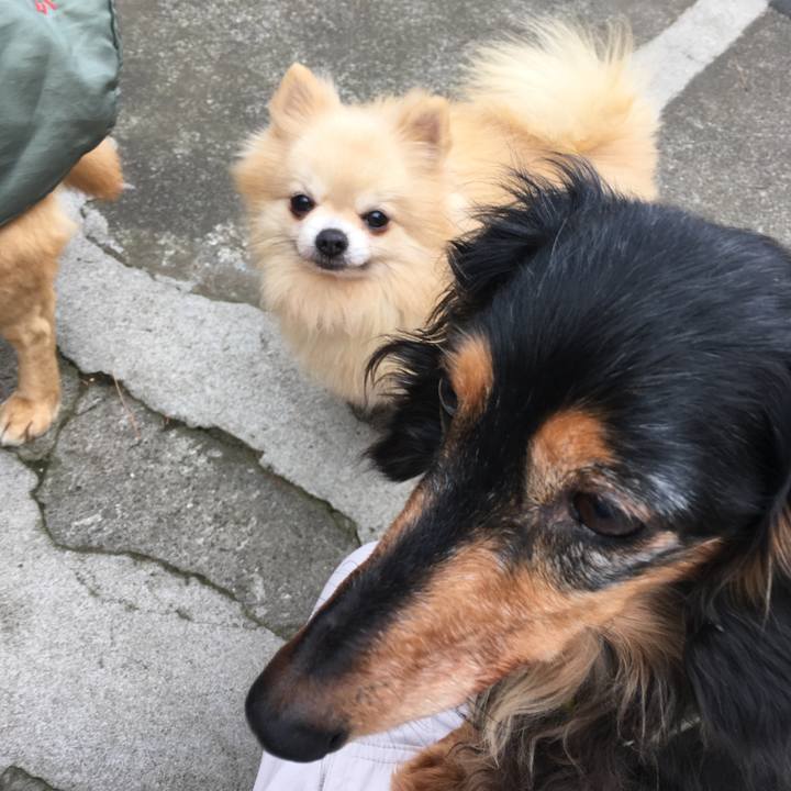 B5acc580 a1ea 4ca6 ba90 ddc5236583ba 1552280443378