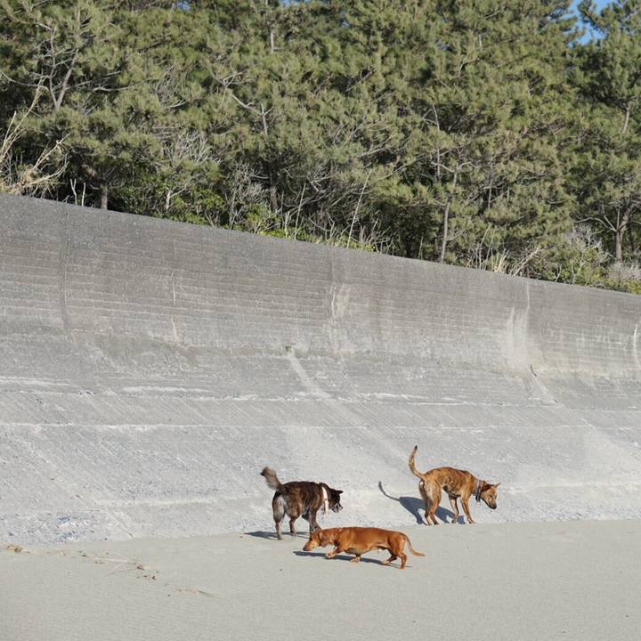 B5accfbb 4e18 4108 ac5f cd5174d9ebdd 1584916961284