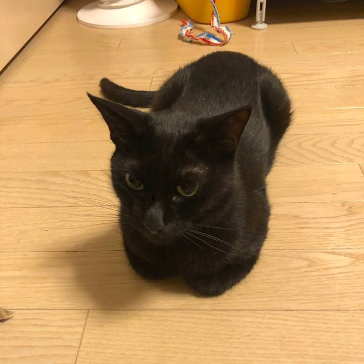 B5acf30d 3392 4a58 ae7a aa5cd182d54f 1563978131511