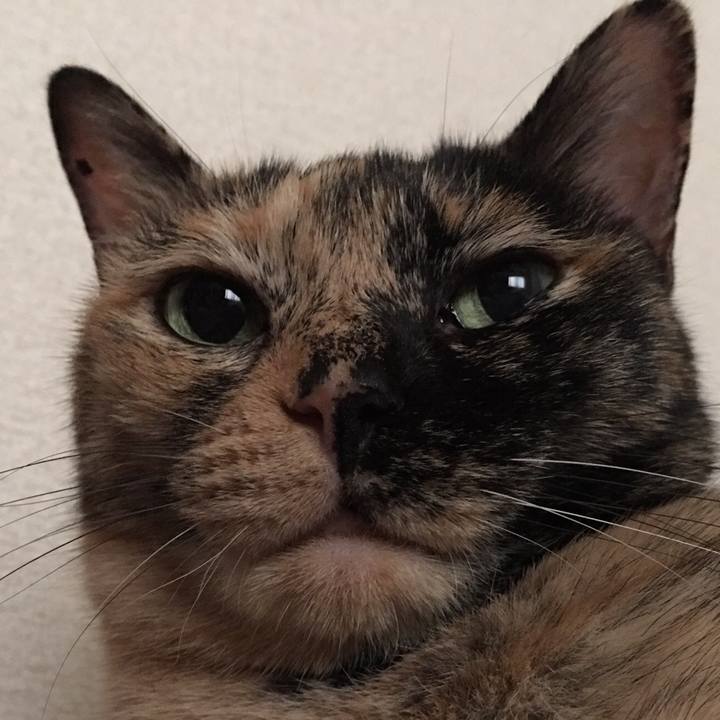 B5ad1c5e 2bb6 483d bda2 cee180d08456 1510087944067