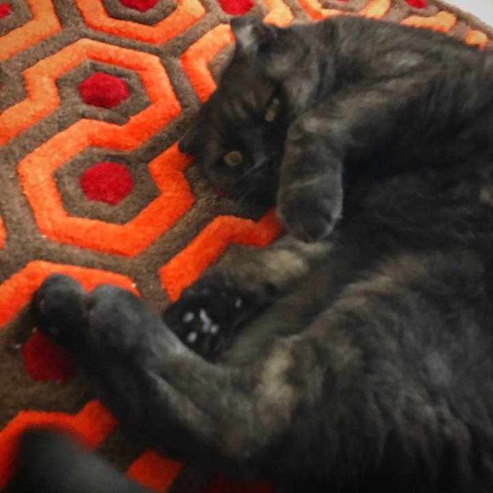 B5ad2940 d629 4e94 a78f 6748051933d2 1536252439957