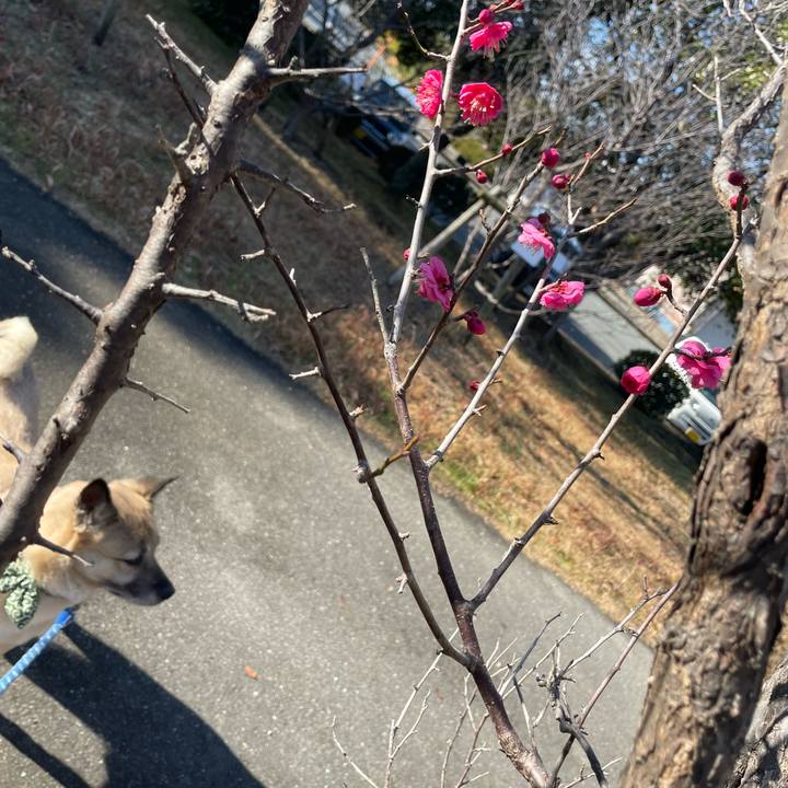 B5ad336c e7df 4a69 ba38 8db740e7b25e 1705842253991