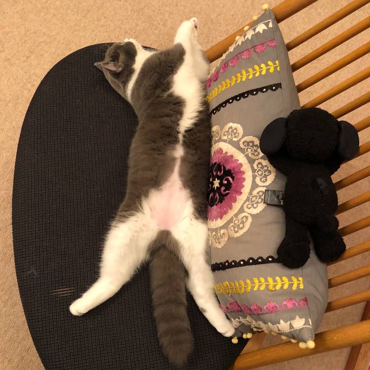 B5ad3702 f75f 4553 8b9d f206ad379a64 1516709893601