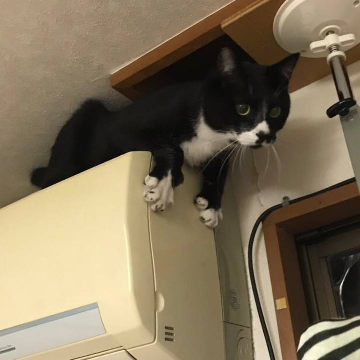 B5ad7955 c8ab 4e54 a6a3 602b9f504893 1542167655927