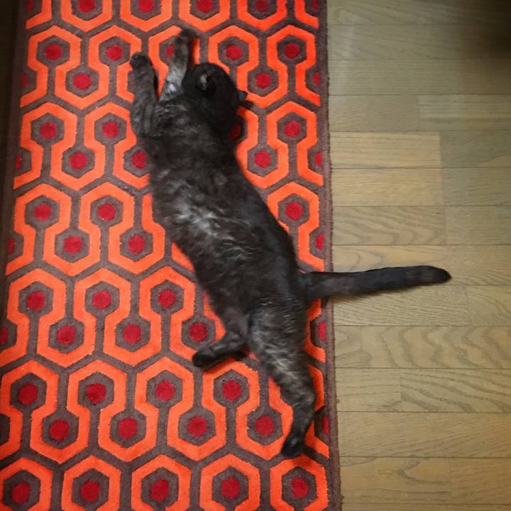 B5ade7ef af38 444a aa96 685a2b5dedf7 1571542179556