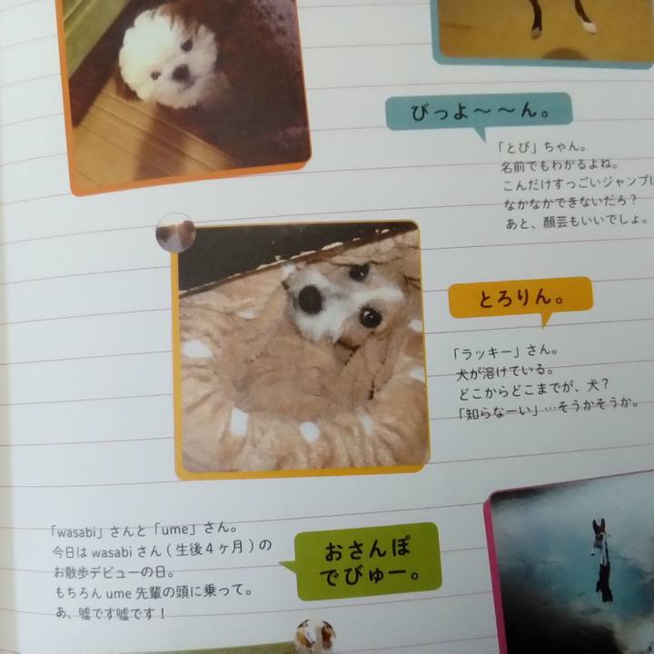 B5ae58a8 b27b 475c 80a7 f568f5fbc7e5 1557387093675