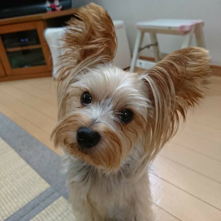 B5ae7f7f c9cf 416b ac96 96def3235724 1536996176303