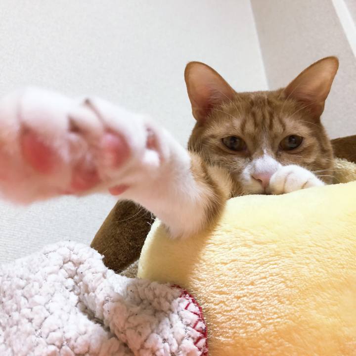 B5ae9417 def9 4a00 acf0 4addb9db5814 1575034644399