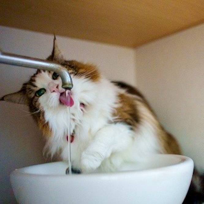 B5aeb5e8 487a 469a a5e3 ac581bdcca65 1759371423496