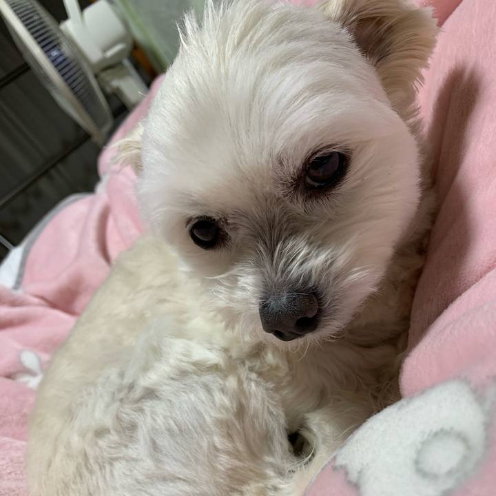 B5af021d f6a3 4171 9cfa 90d9fa8341a8 1645355626234