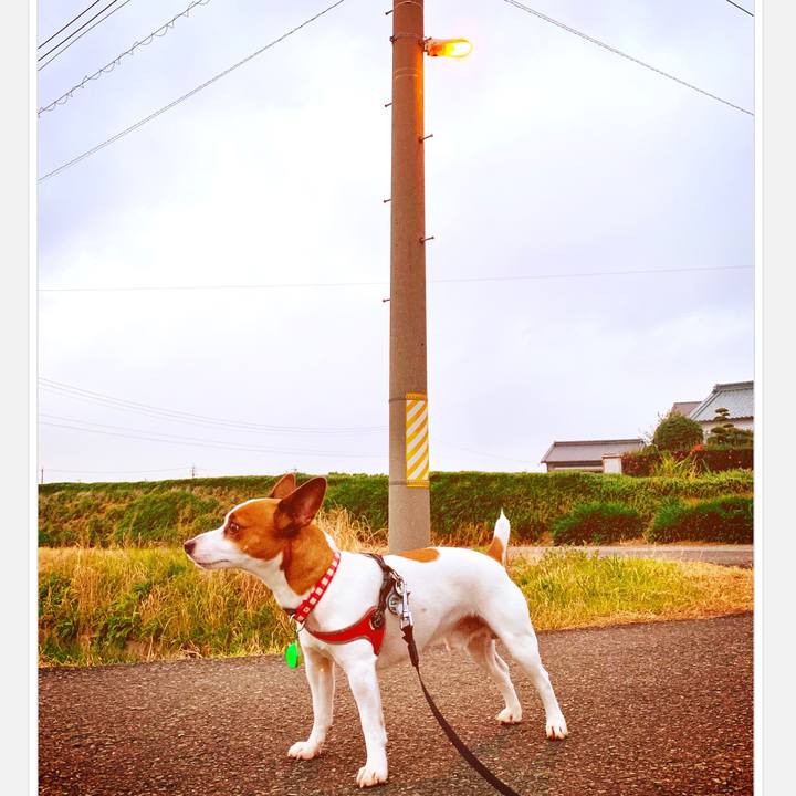 B5af36e8 e3c8 40aa 8254 bad5a54bcbba 1543918116548