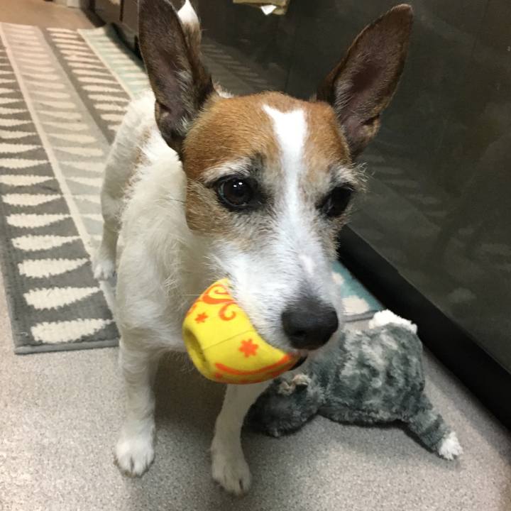 B5af5cec 7bb4 4a14 ad3f 268fa8b9299a 1573512273305