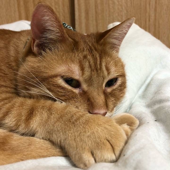 B5af8201 a45c 4d33 9172 6c479ac63f1e 1582297130554