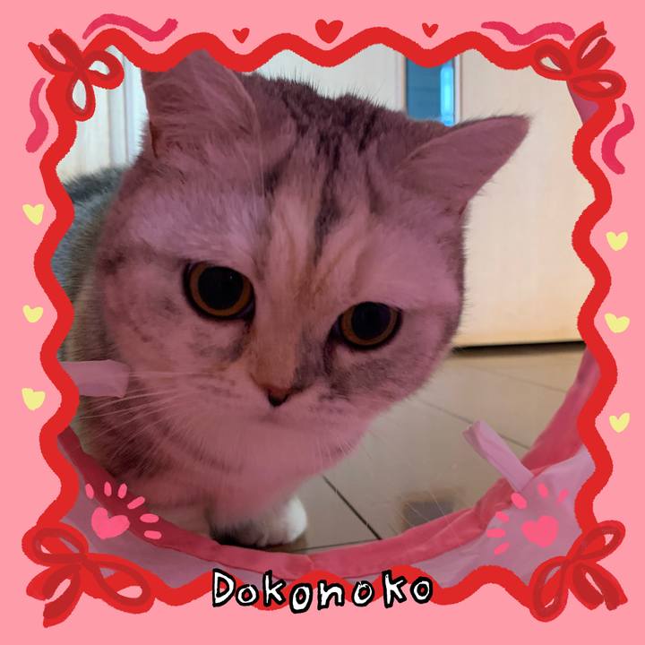 B5af84e4 064b 4bbf b1fd 9720825b35b3 1706766545218