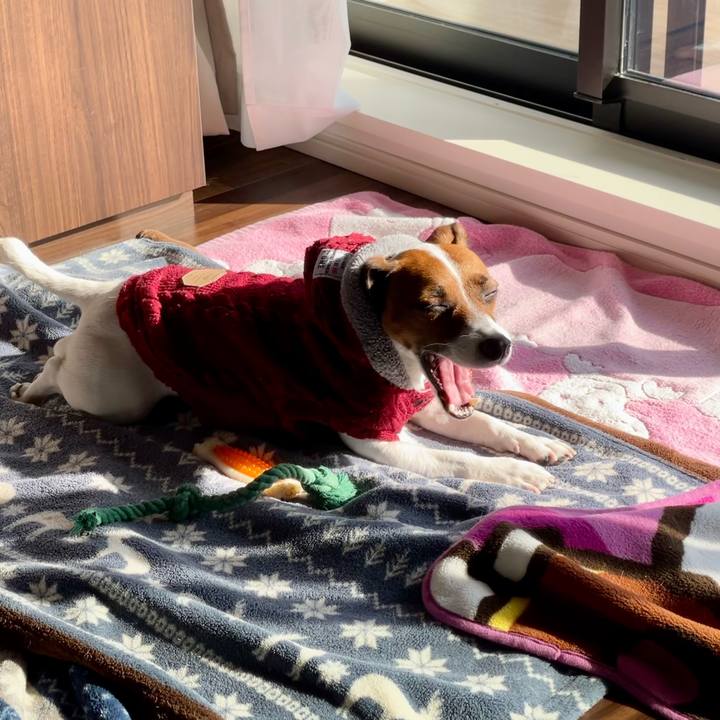 B5af9c13 6e35 49a8 bce5 5a1fd498c055 1642914121580