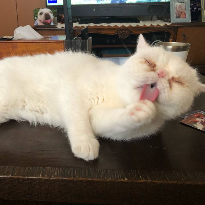 B5afbcd7 a441 44b8 8b0a 8a43ed634d15 1660633980363