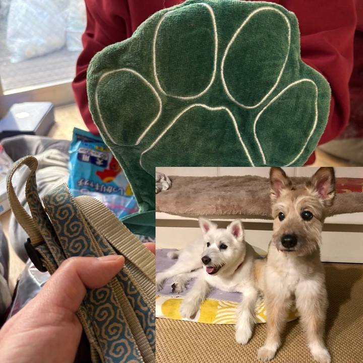 B5afffcc 28c8 4214 b5a0 18fa7151f01a 1774170150365