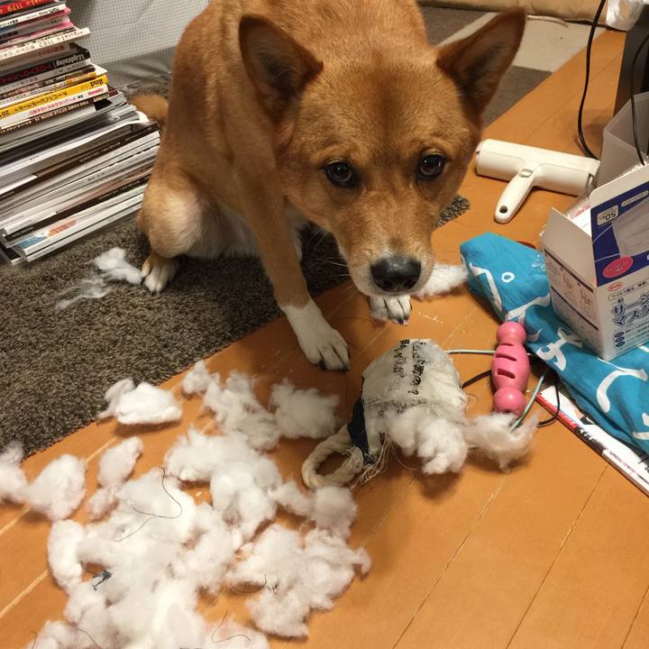 B5b02ade c784 4a10 9d91 4a861ef14c47 1593381768383