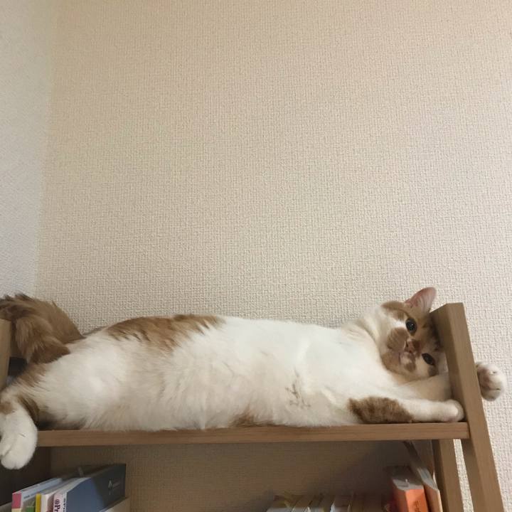 B5b033c9 ac3d 4d83 95bb 9bf0e5e9da01 1583148265345