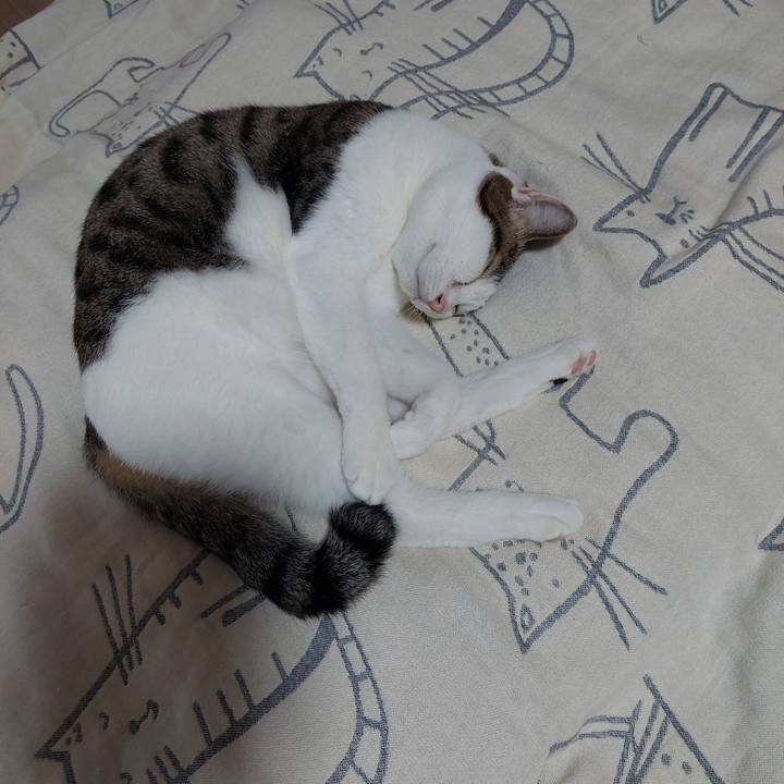 B5b06d41 8973 4f4d b3b7 92d0bda46bfa 1664023419988