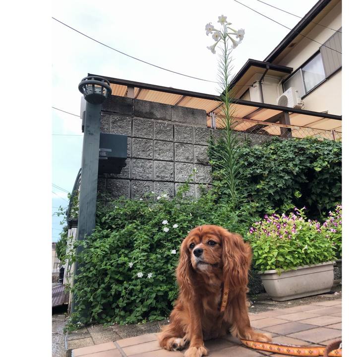 B5b07e75 3b7d 41c0 880a d25211f76865 1629455072963