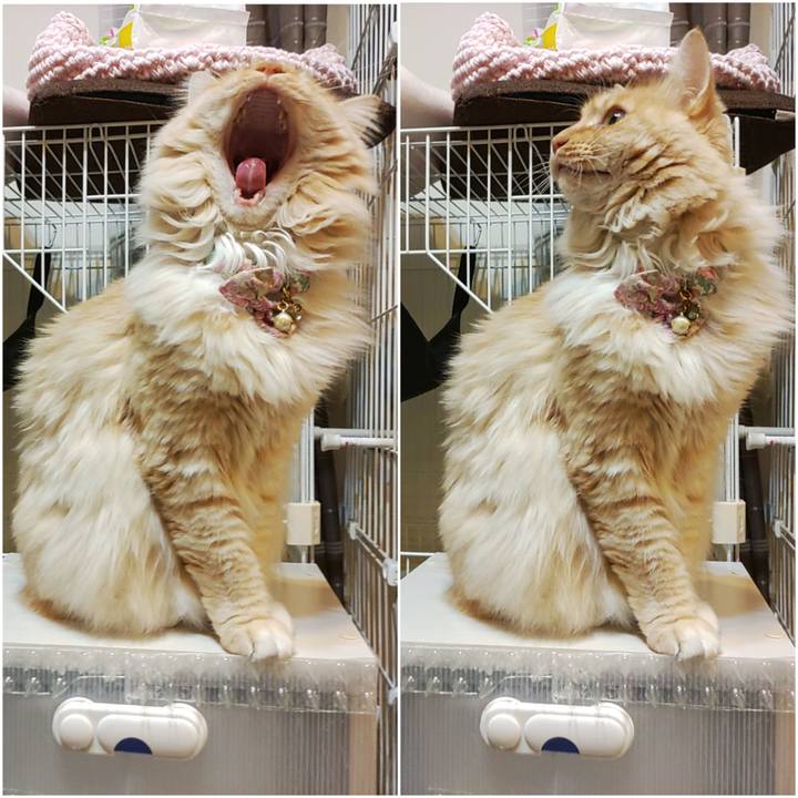 B5b0a72a d06e 486c b950 afd7b165d38e 1671872588674