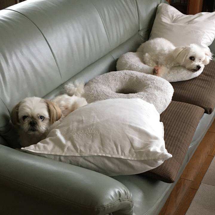 B5b0c0a5 c15e 4397 9e36 df4b5273087e 1600496278927