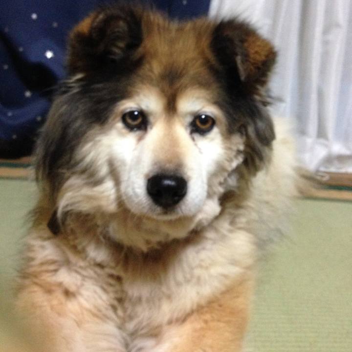 B5b0efdd 0e08 4436 99d7 cb5488a2c11a 1611754118954