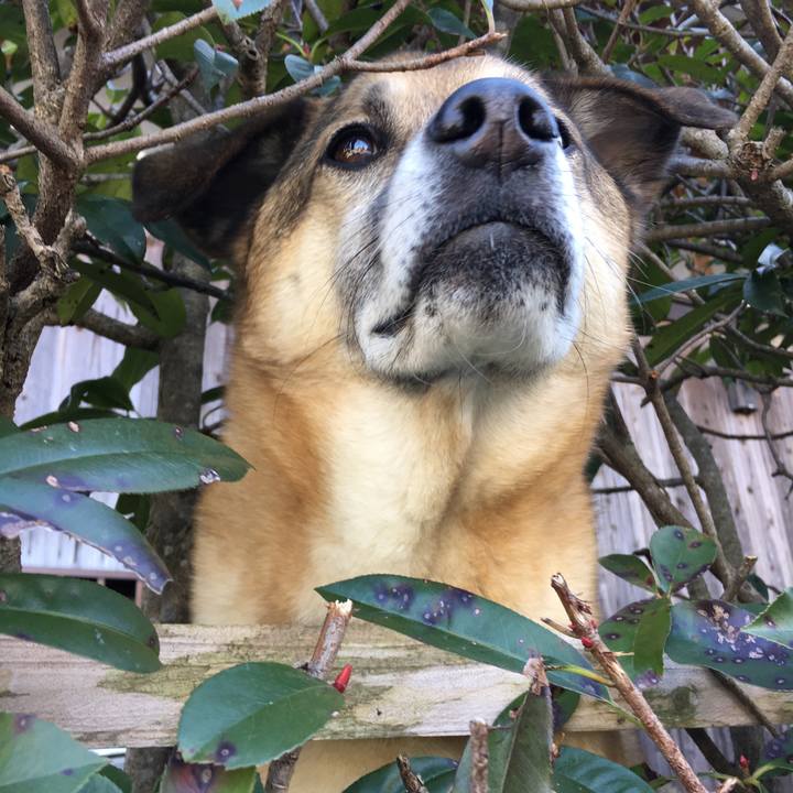 B5b1115d 6fd2 44d5 9526 b53da11d49d9 1521723023418