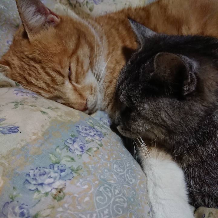 B5b177ba c570 4120 b8c8 82e9ea09ad30 1579090014993