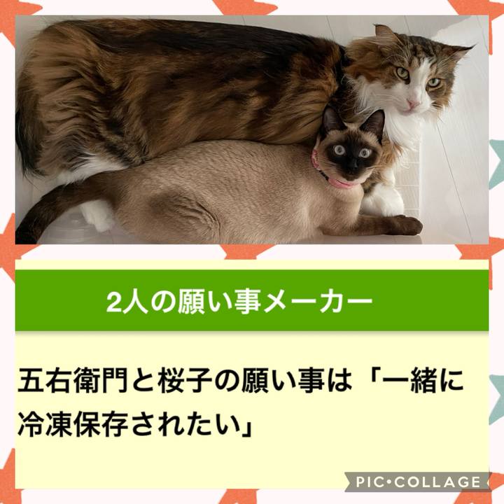 B5b185b4 155e 4209 8aae 22a21ce101c9 1720301816960