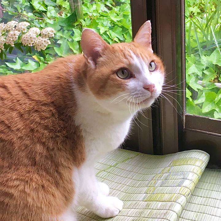 B5b1bef0 0b55 4ec6 8a52 f9a567e7e4a8 1589955152159