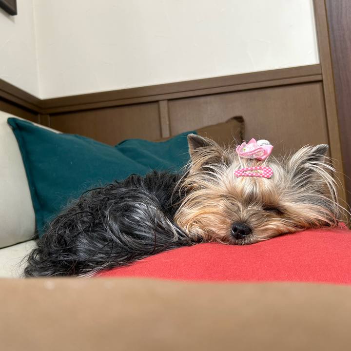 B5b1d784 d113 4d6f afff d21d373dd3b5 1701503336784