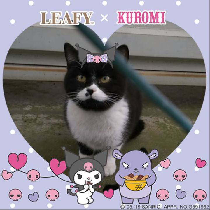 B5b1db2e 16e3 4094 8127 b7da47947c51 1553159387166