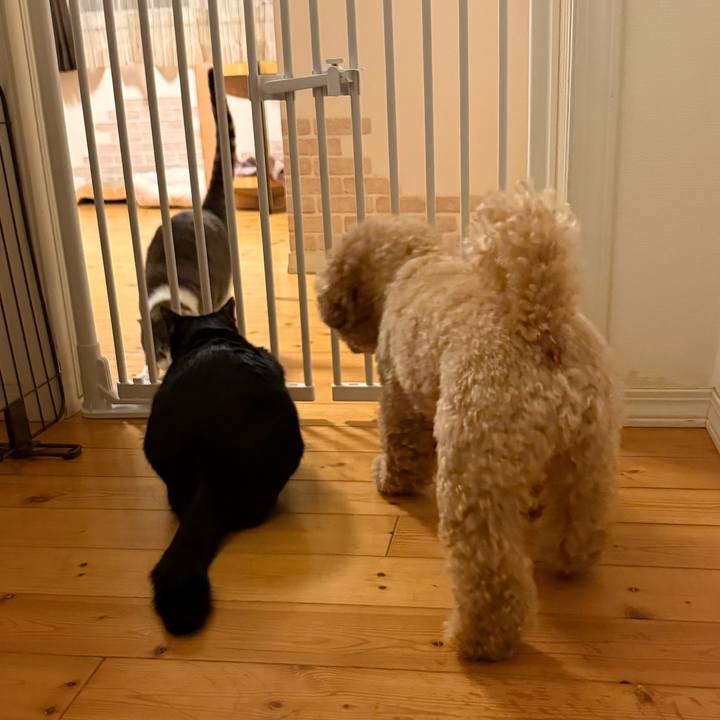 B5b1dc5b 1851 48b2 a3b7 910584649f46 1765625849556