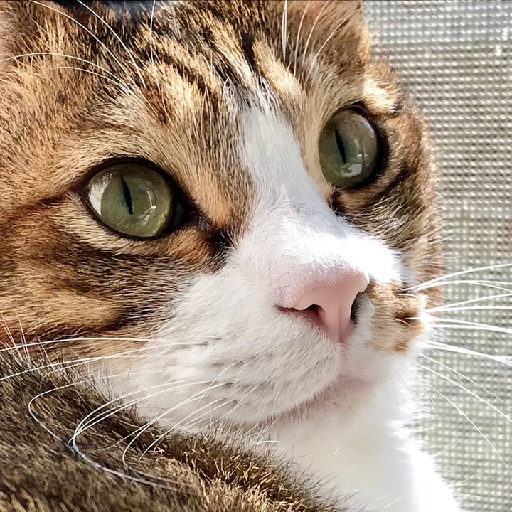 B5b218bc 47ae 4e28 9402 d0a6592f538e 1553138316538