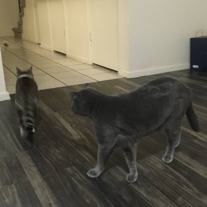 B5b2344b 367b 4298 999d d7f9910bed4e 1633876768081