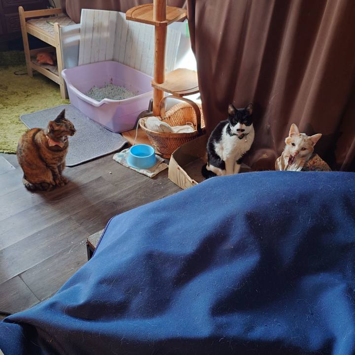 B5b25b46 f774 40be 9e97 562769311bca 1770945458640