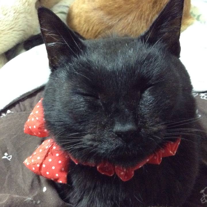 B5b2a39a 4a92 4763 b65c ea154c1738d5 1570047935967