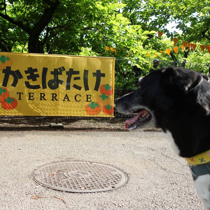 B5b2ad59 cfc4 4961 9cbe 4960da468f85 1746927489636