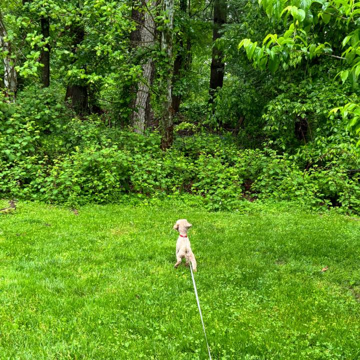 B5b2af84 f25d 4254 a145 f943e8269ad5 1715033015332