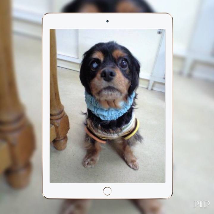 B5b2b3f9 b68f 4be7 b68a b33291301410 1529286162667