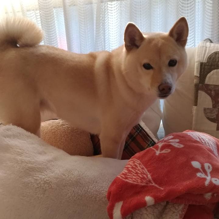 B5b2ddc7 e127 4393 92ac 74f1005ddca4 1612394188941